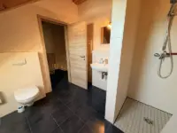 Bad DG
