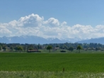 Panoramabergblick - NEUER PREIS! vielseitiges Baugrundstück in Bestlage mit Traumbergblick im Süden von Weilheim
